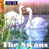 Picture for song 'The Swans (Cello Only MIX)' by artist 'Austin Martini'