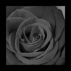 Picture for song 'Roses are Red Beat Prod. Auzz Dark Emo Beat' by artist 'Auzz'