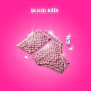 Picture for song 'Pretty Wild' by artist 'Ayesha Erotica'