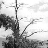 Picture for song 'Hand in Hand-original worktape' by artist 'Barbara Wilkinson'