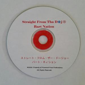 Picture for song 'Skate By' by artist 'Bart Nation'