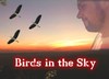 Picture for song 'Birds in the Sky STUDIO VERSION (30 sec clip)' by artist 'Benny P'