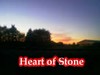 Picture for song 'Heart of Stone STUDIO VERSION (30 sec clip)' by artist 'Benny P'