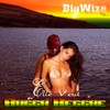 Picture for song 'Big Wize-Medley' by artist 'big wize'