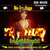 Picture for song 'Y'a l' feu Volume 1' by artist 'big wize'