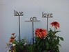 Picture for song 'Live On Love' by artist 'Bill Cannon'