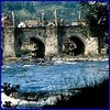 Picture for song 'Down By The River' by artist 'Bill Dickson'