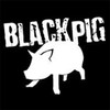 Picture for song 'Black Pig' by artist 'Black Pig'
