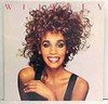 Picture for song 'whitney houston sample dis shit is hot' by artist 'Black trakz'