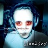 Picture for song 'Impending Destruction' by artist 'Bloodshy'