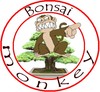 Picture for song 'telefoon gepraat' by artist 'bonsai monkey'