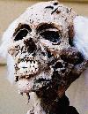 Picture for song 'corpse' by artist 'Boone Dock Saints'
