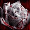 Picture for song 'Wie ein Liebesfilm' by artist 'Boss Beats'