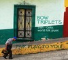 Picture for song 'Raindrops in Whiskey' by artist 'Bow Triplets'