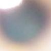 Picture for song 'Orbaloney (brap136)' by artist 'Brap'