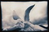 Picture for song 'Insomnia' by artist 'Breach'