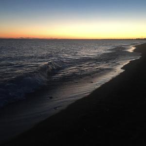 Picture for song 'Love Is The Greatest Thing' by artist 'Brett Service'