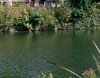 Picture for song 'Dozy River (demo)' by artist 'Bright Spark'