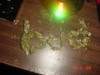 Picture for song 'Get'Yo Ass Whooped' by artist 'Brooklyn Unda Dogz'