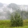 Picture for song 'Heart in the Hills' by artist 'BuddahBoy'