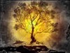 Picture for song 'Face To Face' by artist 'Burning Bush Music Ministries Inc'