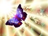 Picture for song 'Butterfly dream Man dream Butterfly Variations' by artist 'byron zeliotis'