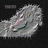 Song picture