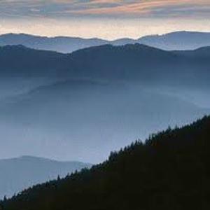 Picture for song 'Sonate 2 en ré majeur (Mvt 1)' by artist 'Christian Faivre'