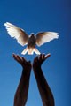 Picture for song 'Hymn for a New World' by artist 'Christopher A Tolliver'