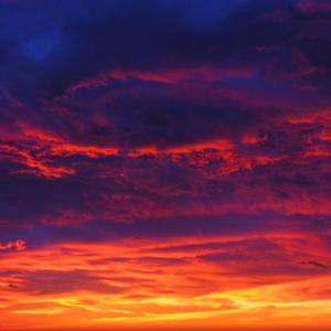 Picture for song '16_The Calling_Clint Lavens' by artist 'Clint Lavens'