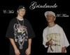 Picture for song 'Dreamz Come True' by artist 'CMoBB'