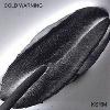 Picture for song 'Beneath The Skin' by artist 'Cold Warning'