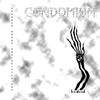 Picture for song 'Noise Loc' by artist 'Condomium'