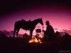 Picture for song 'Back Before Barbed Wire Fences' by artist 'Coyotee Moon'