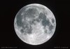 Picture for song 'Full Moon' by artist 'DA BIGGEST'