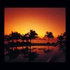 Picture for song 'Mexican Beach' by artist 'Dan Blatter'