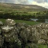 Picture for song 'Four Green Fields' by artist 'Dan O'Donnell'