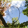 Picture for song 'October Winds' by artist 'Daren Keck'