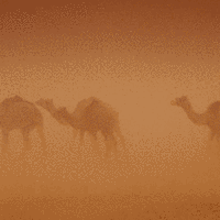 Picture for song 'Duststorm' by artist 'Ixxe13'