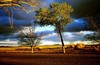 Picture for song 'ALgodones ( Cotton ) Wind DEMO' by artist 'DavidLunbeck'