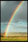 Picture for song 'Amazing Grace' by artist 'Debbie Henning'