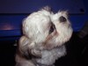 Picture for song 'Brown Eyes (piano demo)' by artist 'Derek (James)(US)'