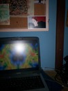 Picture for song 'skank' by artist 'Dias Mallon'