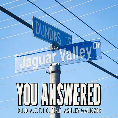 Picture for song 'You Answered (feat. Ashley Waliczek)' by artist 'Didactic'