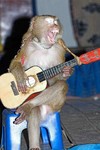 Picture for song 'es ist so' by artist 'DIGBEATZ'