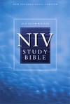 Picture for song 'Lesbian Influenced NIV Bible (Pt 13)' by artist 'DIGITAL LIGHTNING'