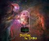 Picture for song 'Morph To Asian Sunset' by artist 'DigiTube'