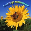 Picture for song 'Happy Summer' by artist 'DJYanka'