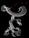 Picture for song 'DQinstrumental-27' by artist 'DQProductions'