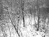 Picture for song 'Nattens Fjell (English Version)' by artist 'Drifason'